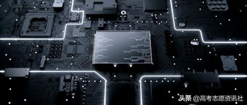 集成电路设计 就业挑战与顶尖高校排名解析
